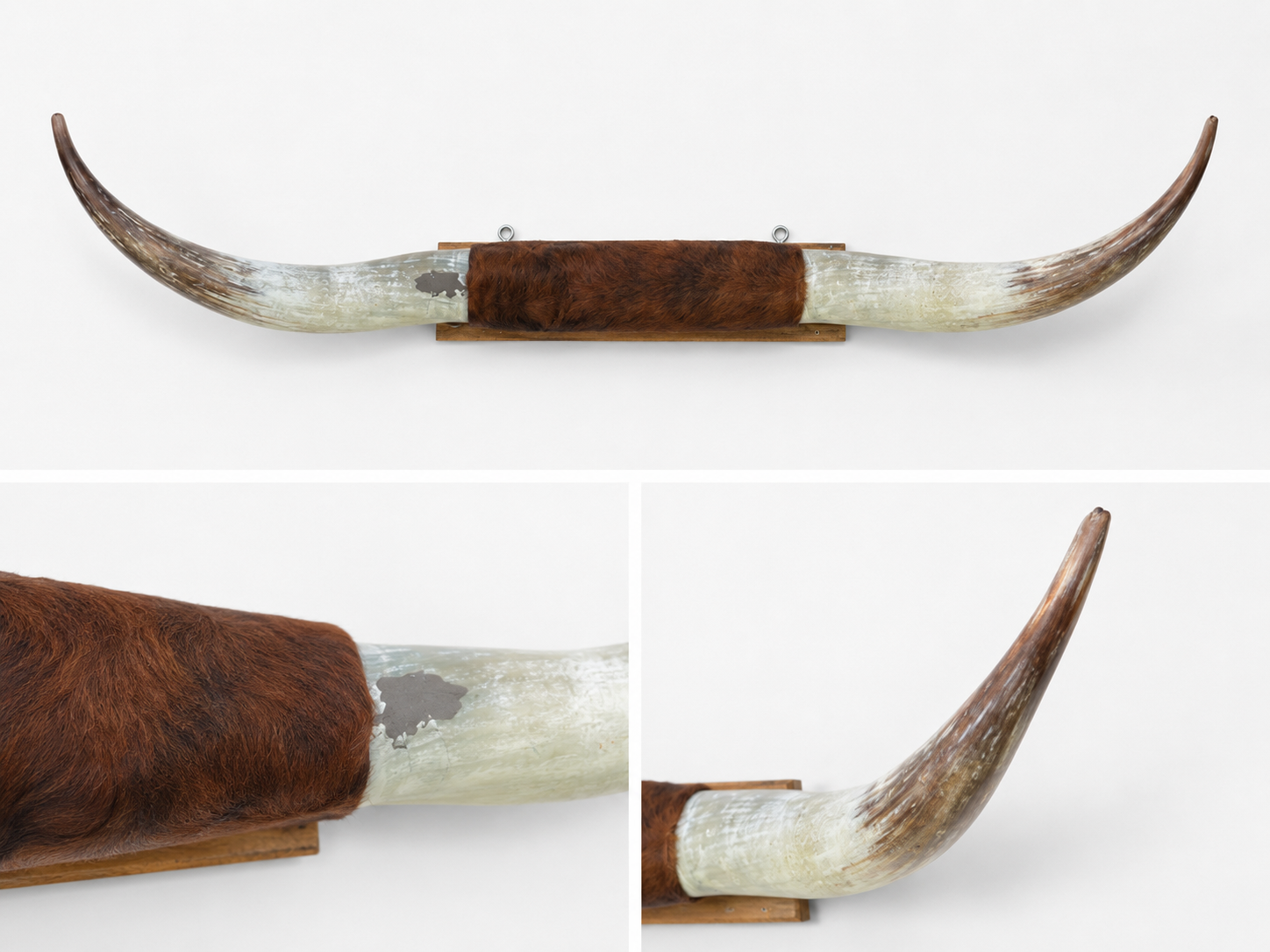 Long Horns - Brown/White