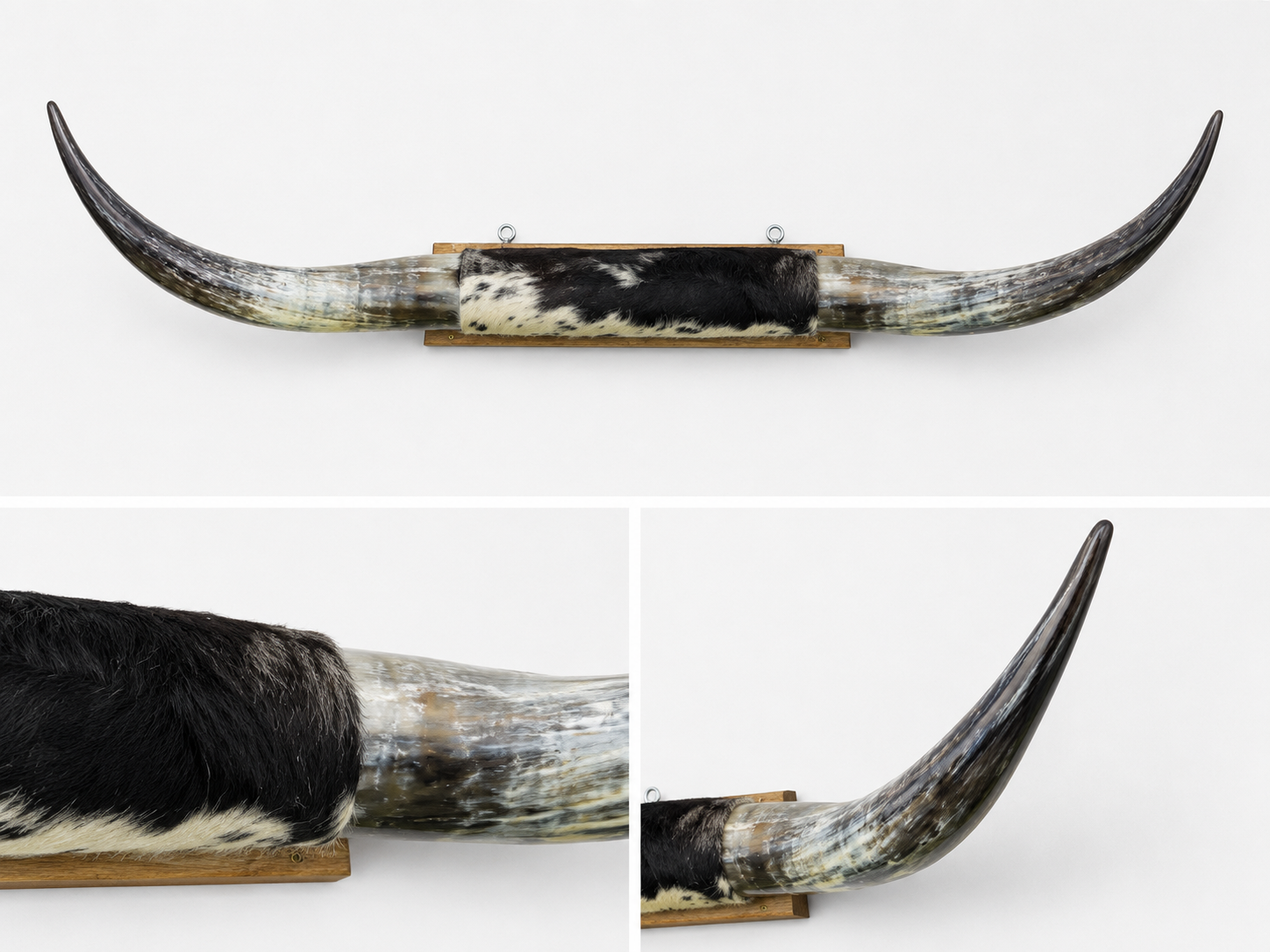 Long Horns - Black/White