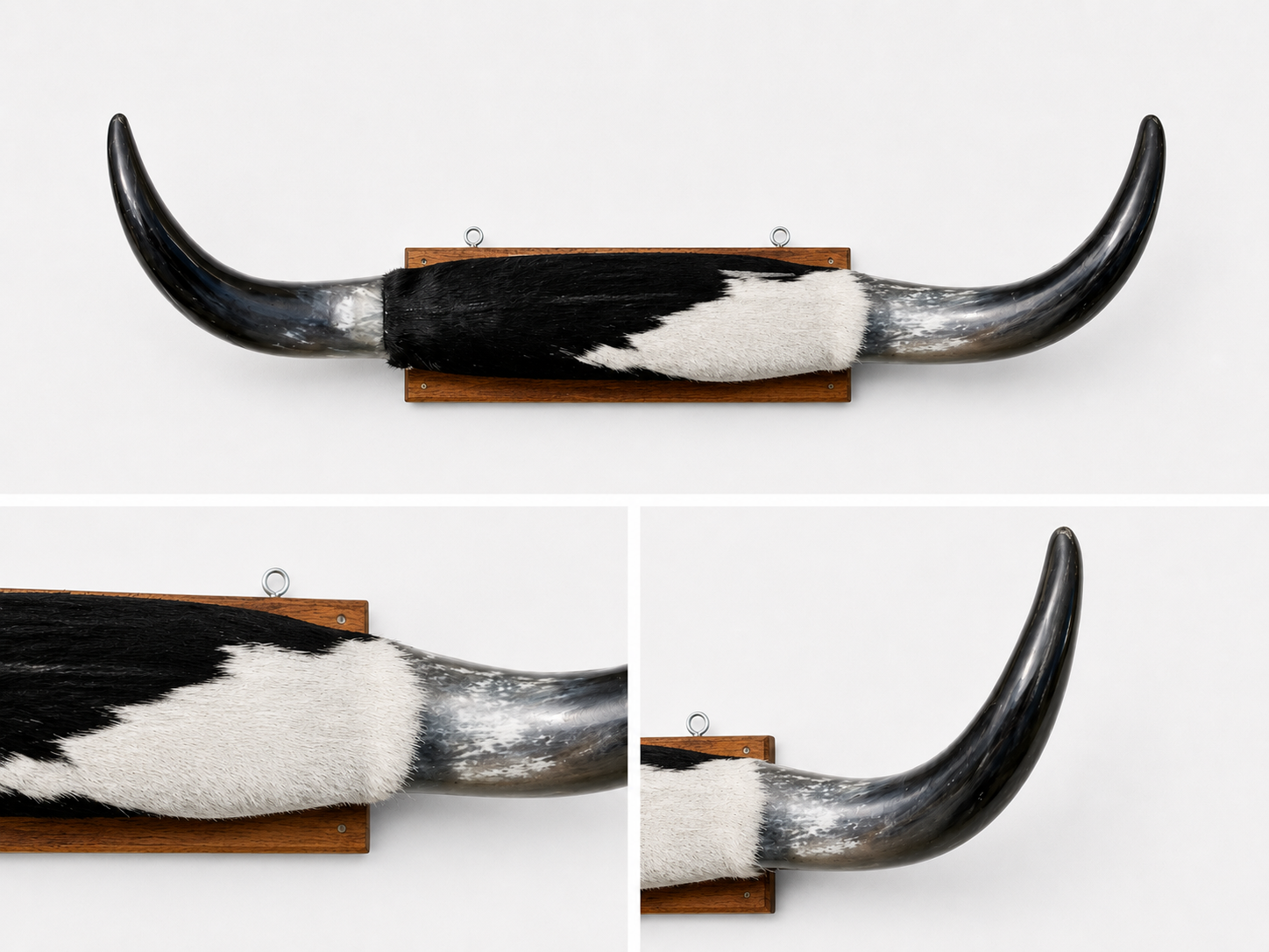 Bull Horns - Black/White