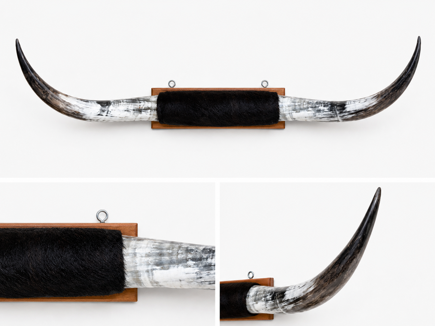 Black/White - Long Horns